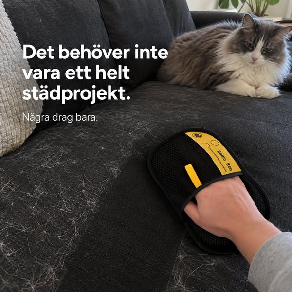 Älskar katten. Inte katthåret.