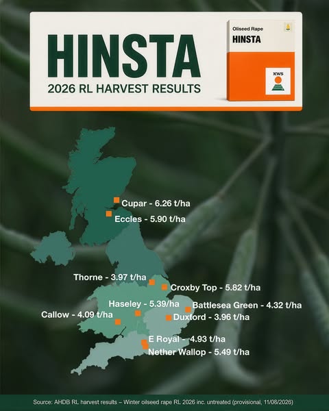 HINSTA - Variety overview Oilseed Rape - Oilseed Rape - Products- KWS UK Ltd.