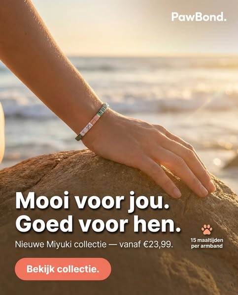 Elke armband voedt 15 honden.