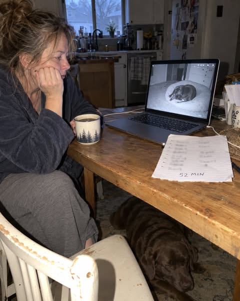 I’m a Dog Trainer. I Thought My Dog’s Nighttime Paw Licking Was Anxiety.