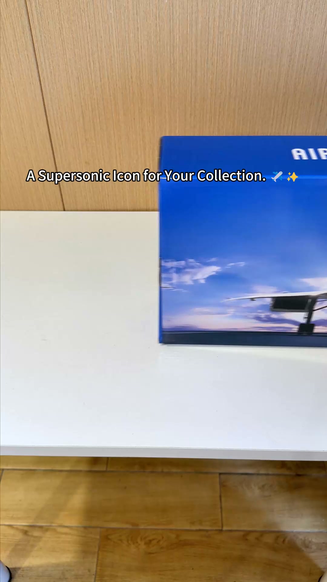 Air France Concorde | Modèle de Collection 1:125