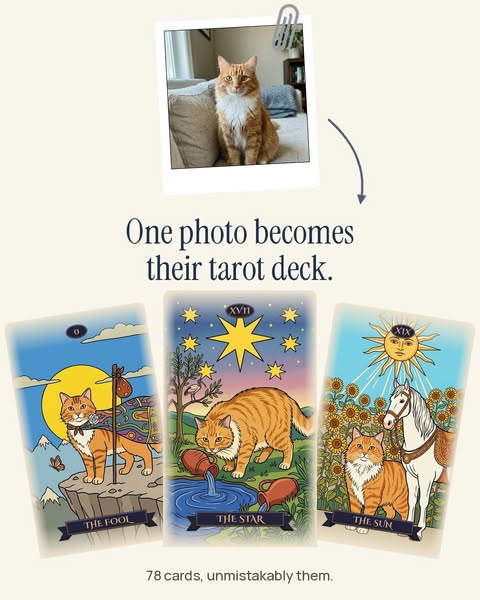 A Classic Tarot Deck Starring Your Pet