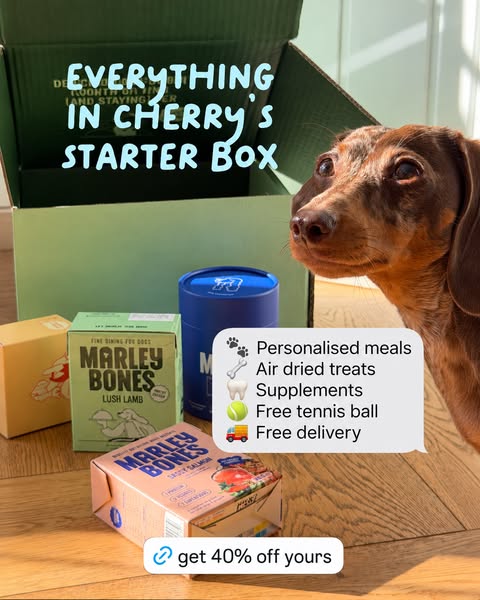 Get 40% off your Starter Box!