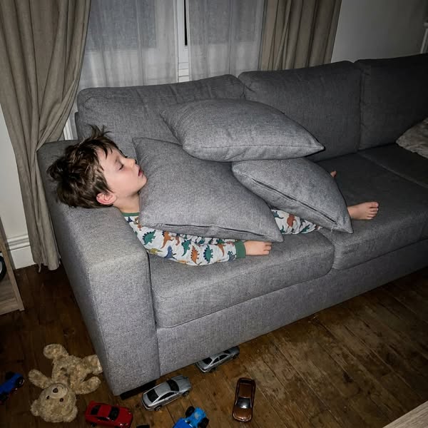 Il dormait sous les coussins du canapé