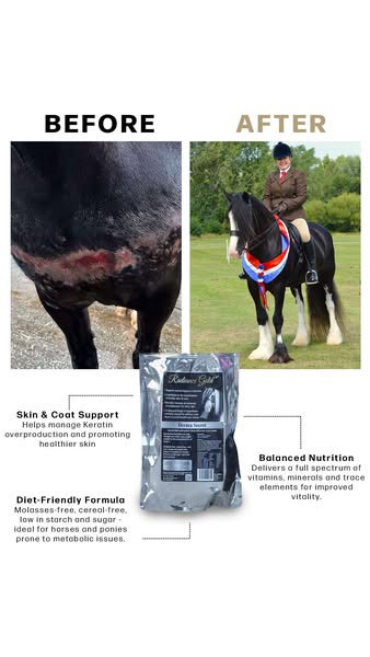 Promote your horse's skin and coat. FREE DELIVERY.