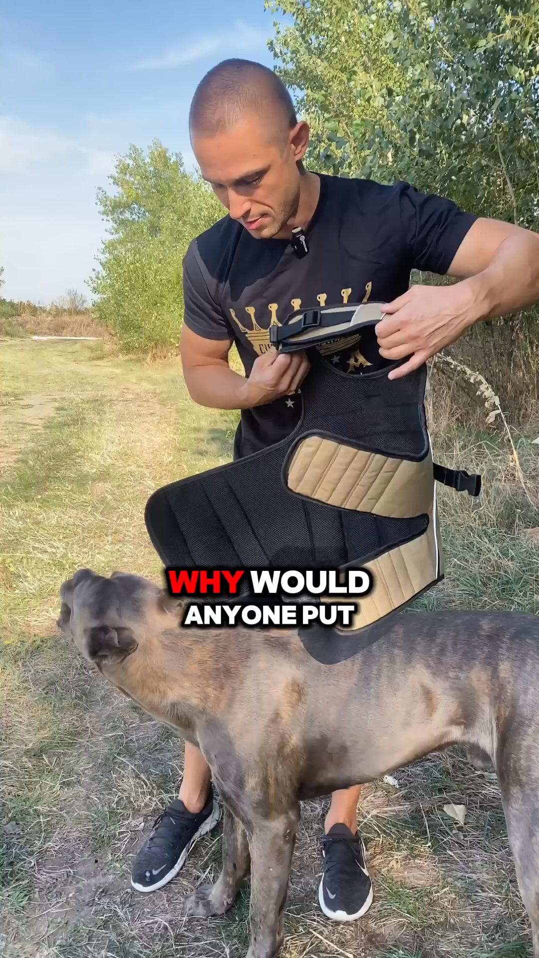 Understand smarter dog exercise