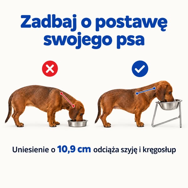Twój pies wcale nie jest wybredny...