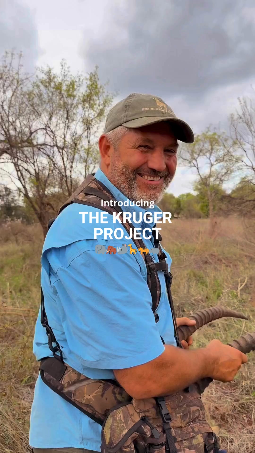 Explore the Kruger Project Today!