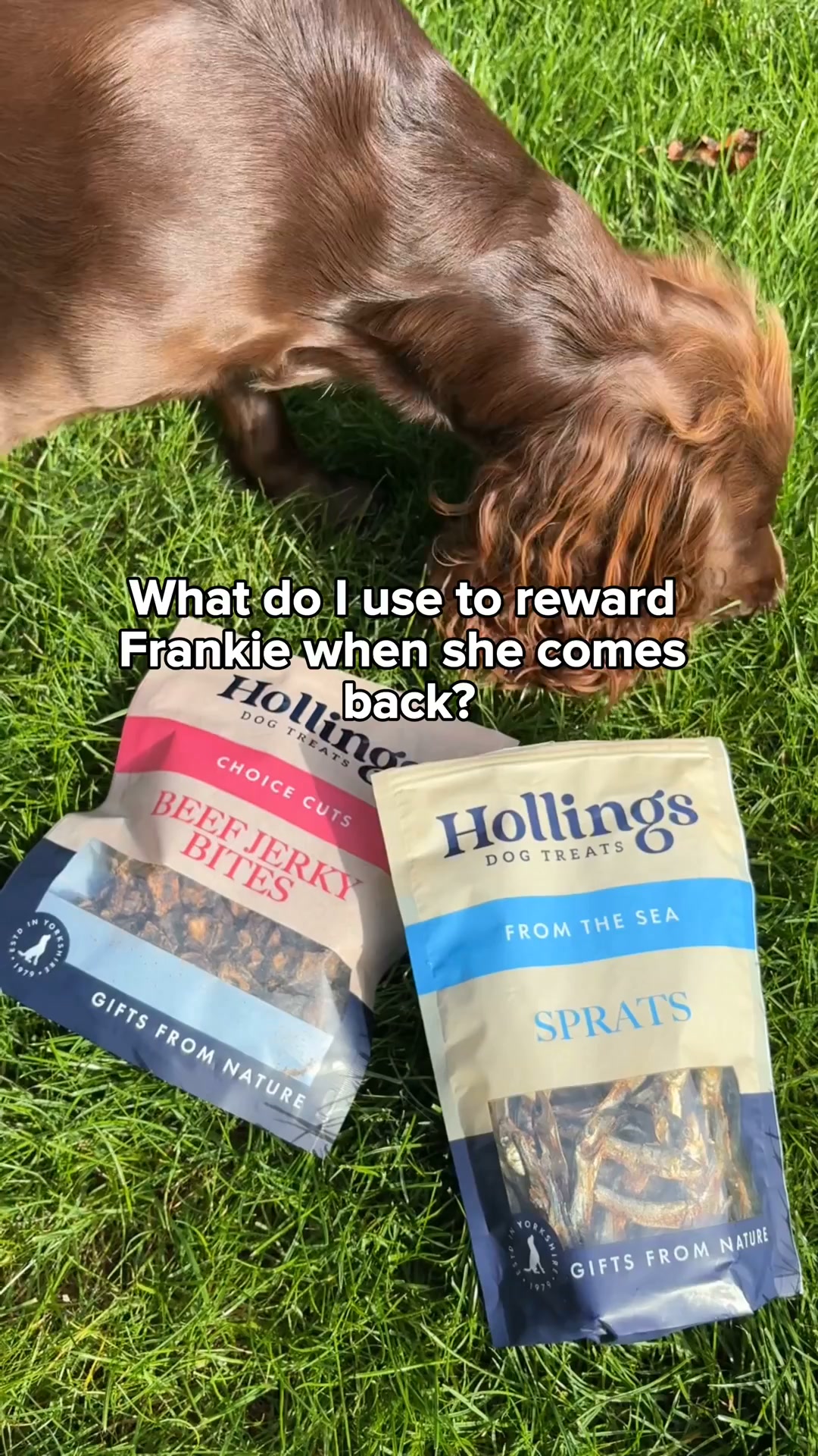 Air-Dried Dog Treats