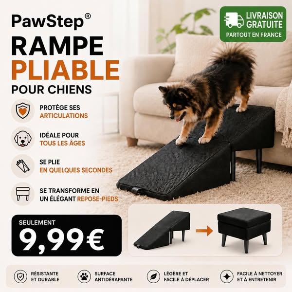 Vente Flash + Livraison Gratuite