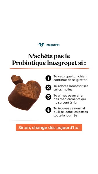 Aide ton chien dès aujourd'hui