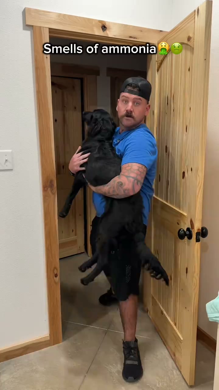 Still Smells Like Dog After Cleaning?