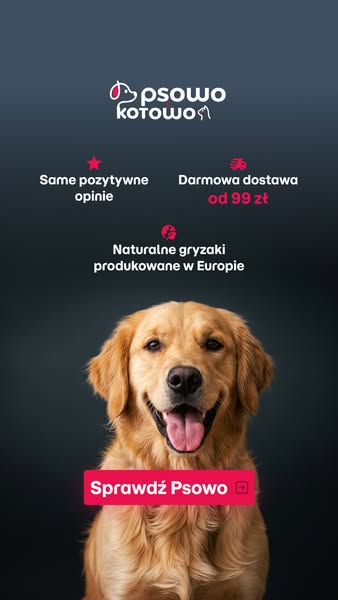 Wybierz sprawdzone gryzaki dla psa