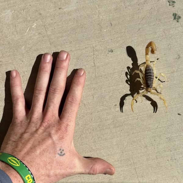 I Kept Spraying Until Something Else Paid the Price.