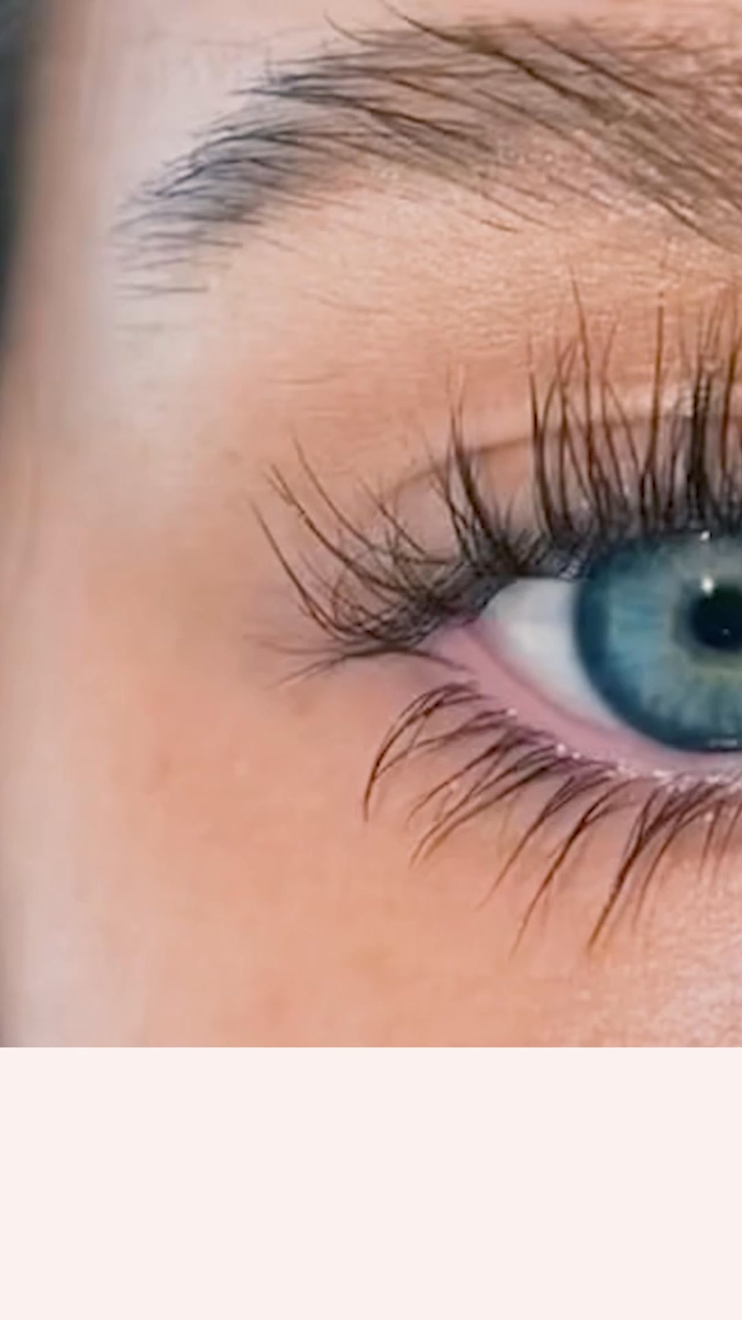 Top 5 Eye Lash Serum of 2026