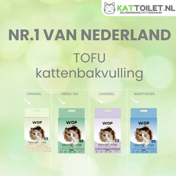 Morgen in huis!