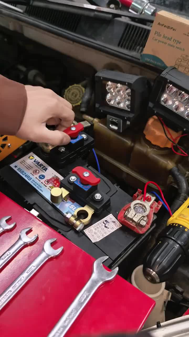 Universal Battery Disconnect & Leak Protector