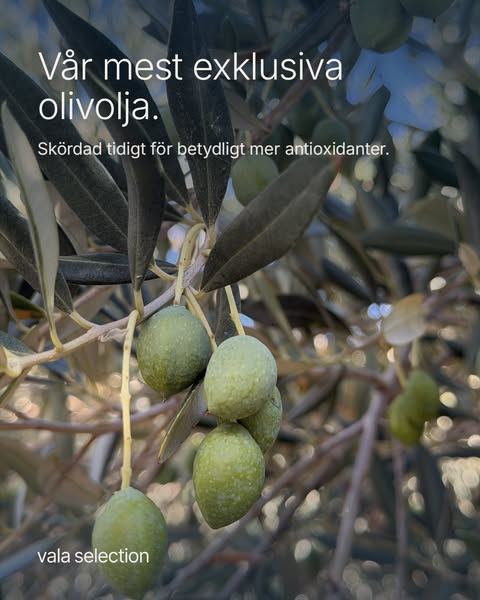 3 × Early Harvest för 1 299 kr