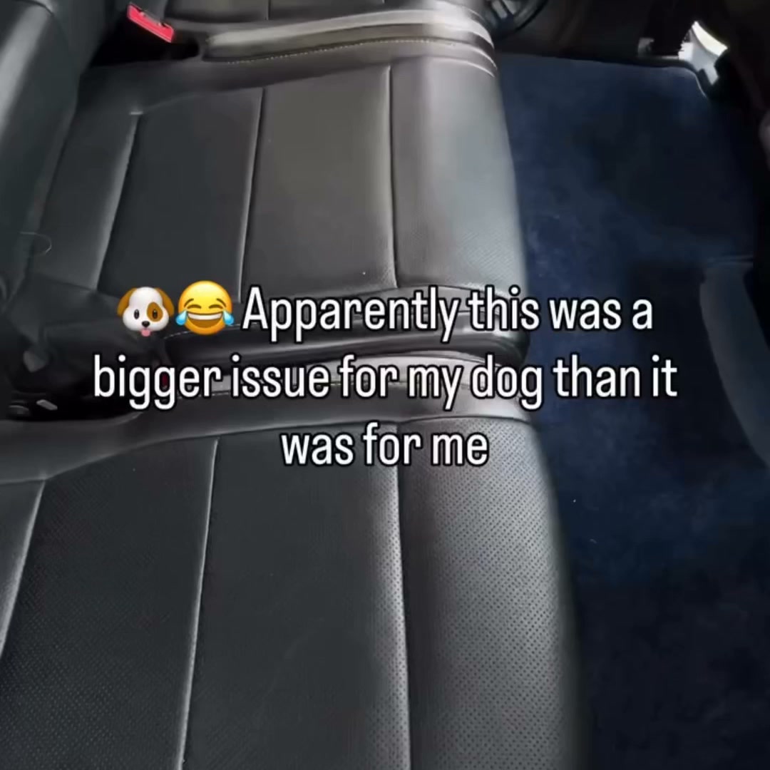 Say Goodbye to Messy Rides