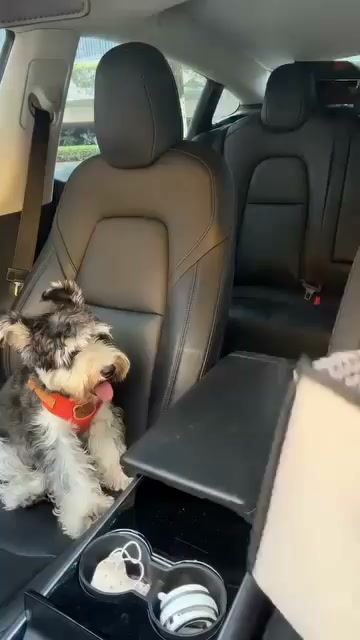 Your Little Co-Pilot Deserves a Cozy Seat!