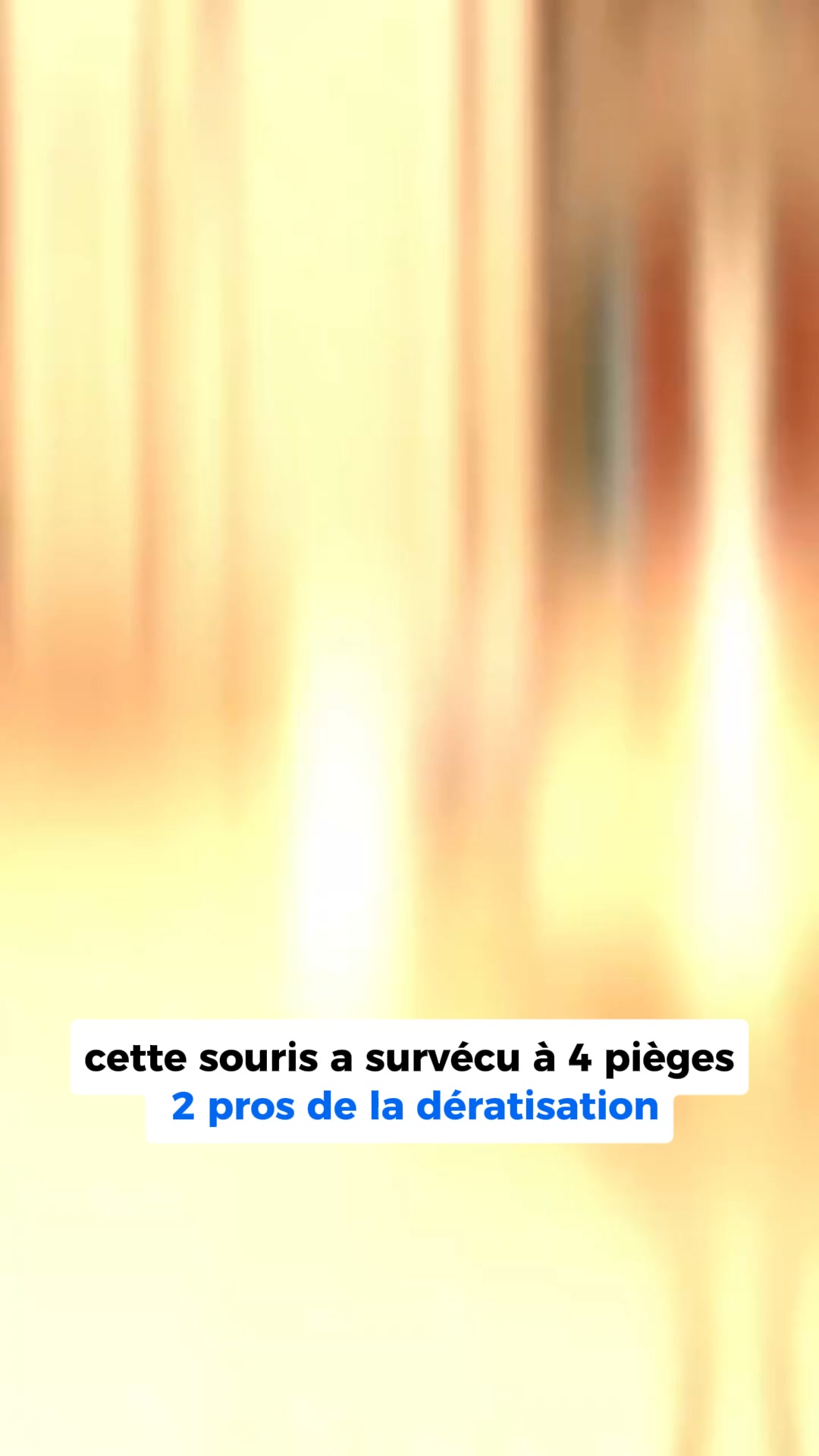Fini les souris et les rats
