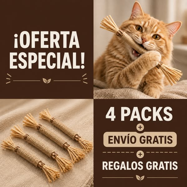 4 Packs + envío y regalos gratis