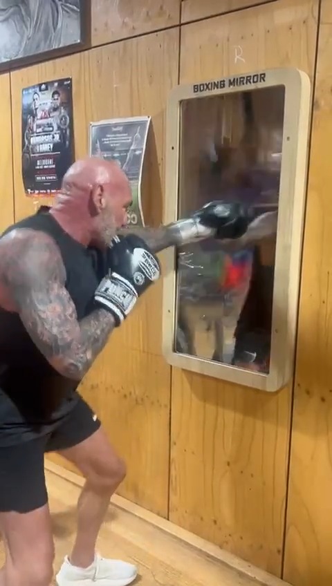 The First Punchable Mirror