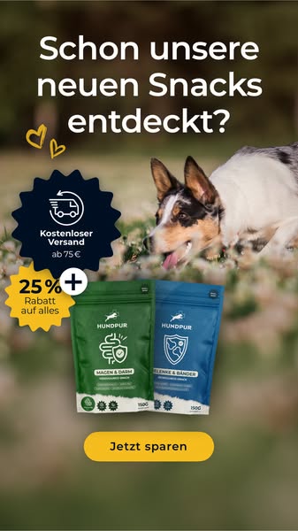 Jetzt 25% sparen