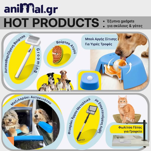 Hot Products