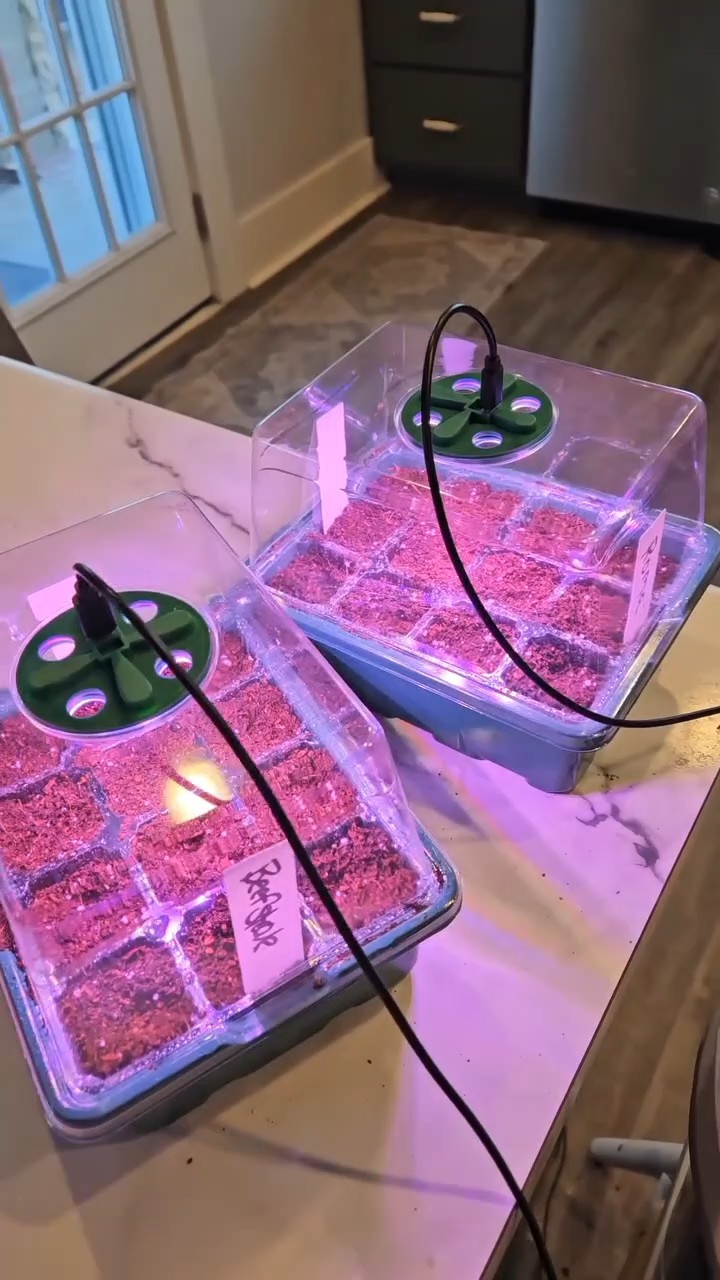 Adjustable Humidity Seed Starter Trays