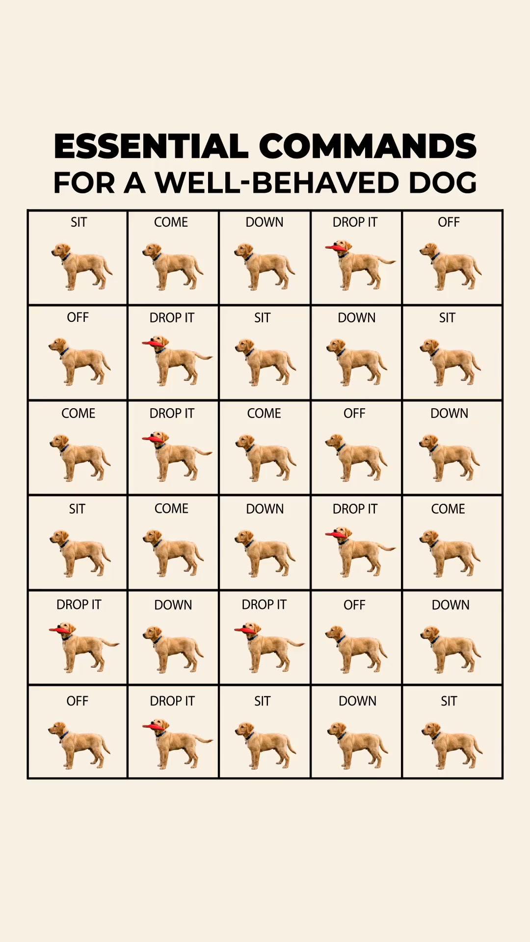 Professional Dog Training Made Simple
