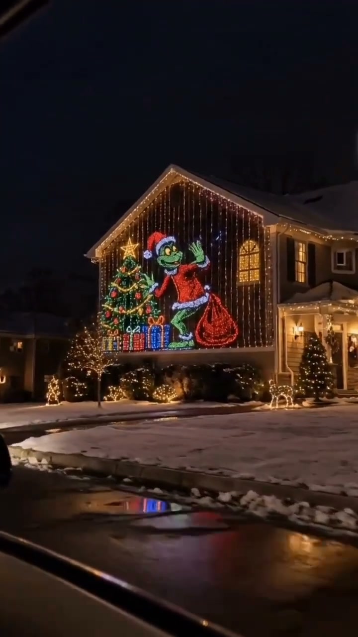 Christmas LED House Net