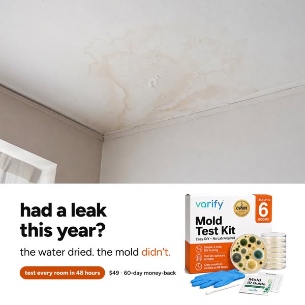 stop guessing if it's mold