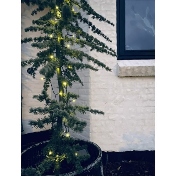 Lavendelblandning - h 46cm