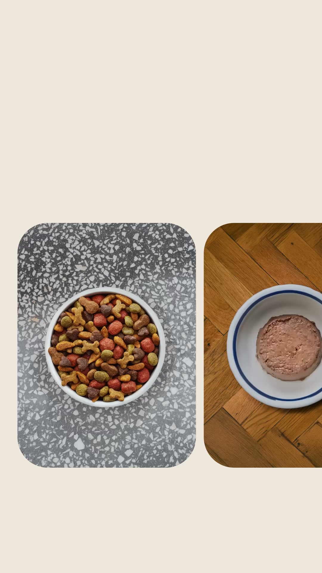 Più varietà nella sua ciotola