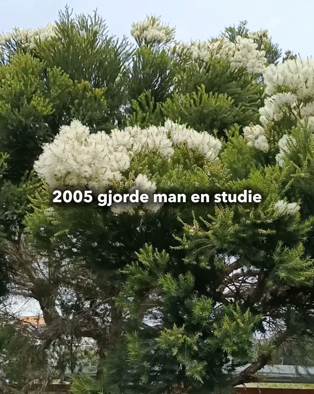 Återställ Hudens Balans, Naturligt