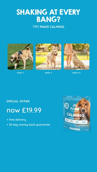 Daily Calm for Anxious Dogs