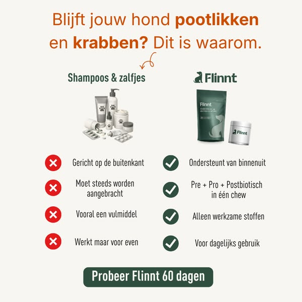 Jeuk bij je hond begint vaak van binnenuit