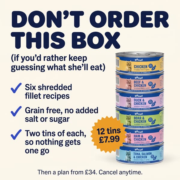 Only £7.99 for 12 Tins!