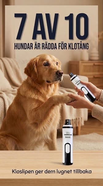60% RABATT!