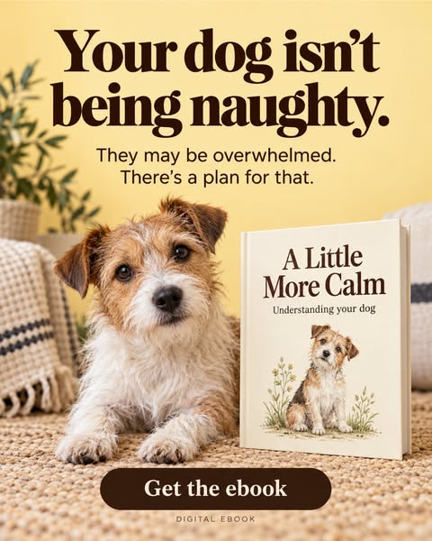 The Calm Dog Plan Start Here