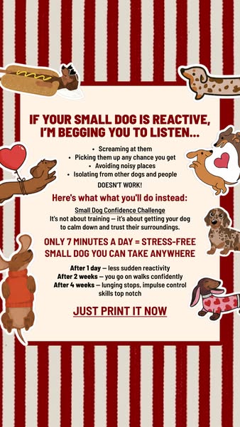 Small dog, big attitude? SAVE THIS ▶