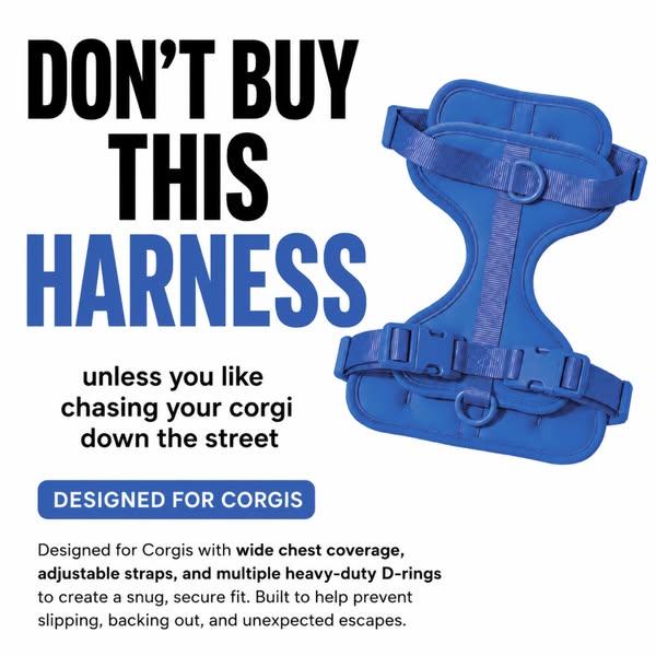 Built for Corgis