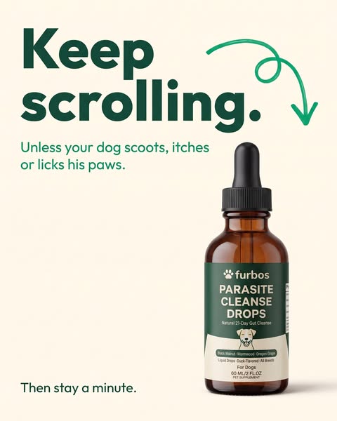 Keep Scrolling (Unless Your Dog Itches)