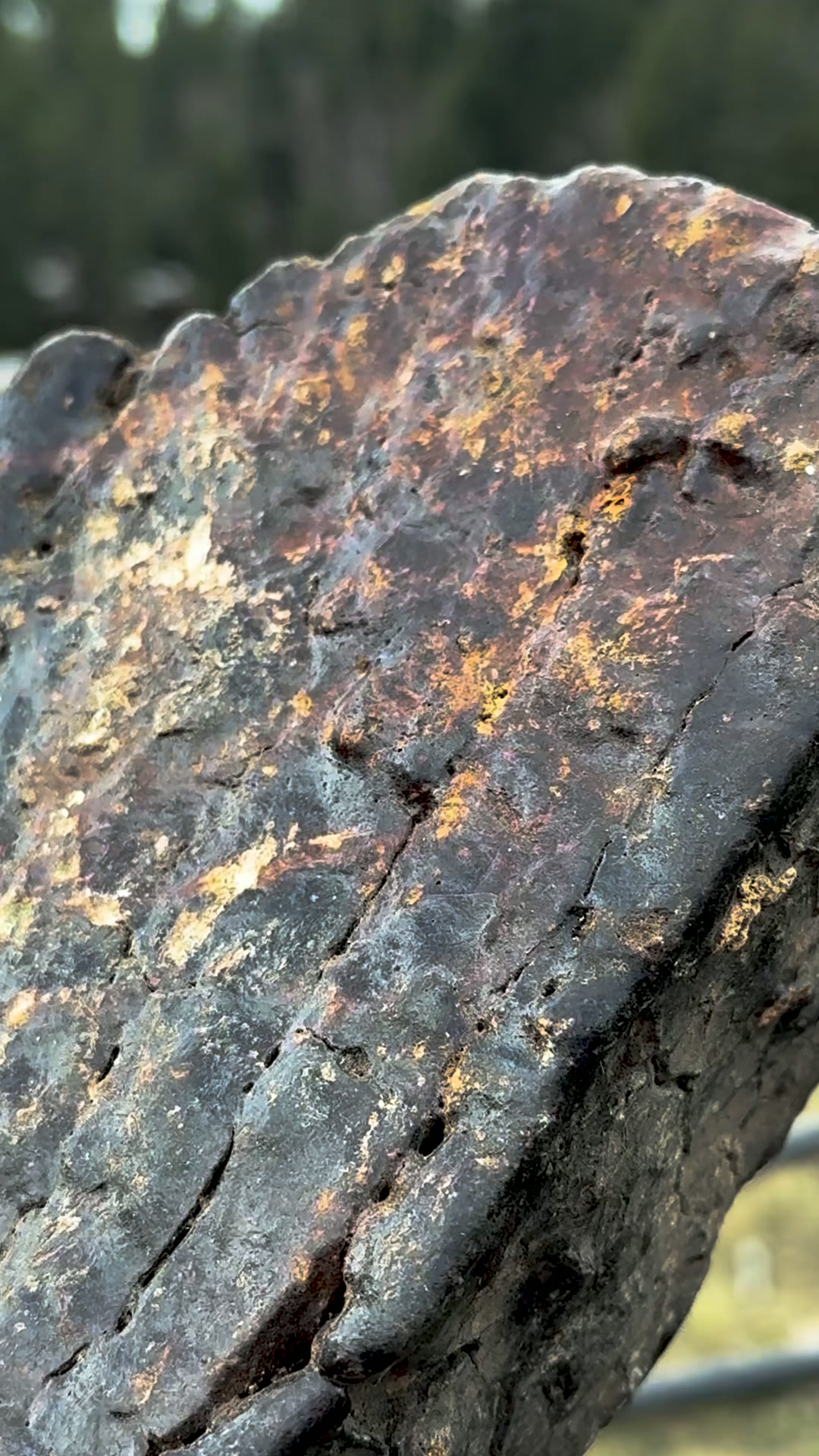 Pure Himalayan Shilajit Resin