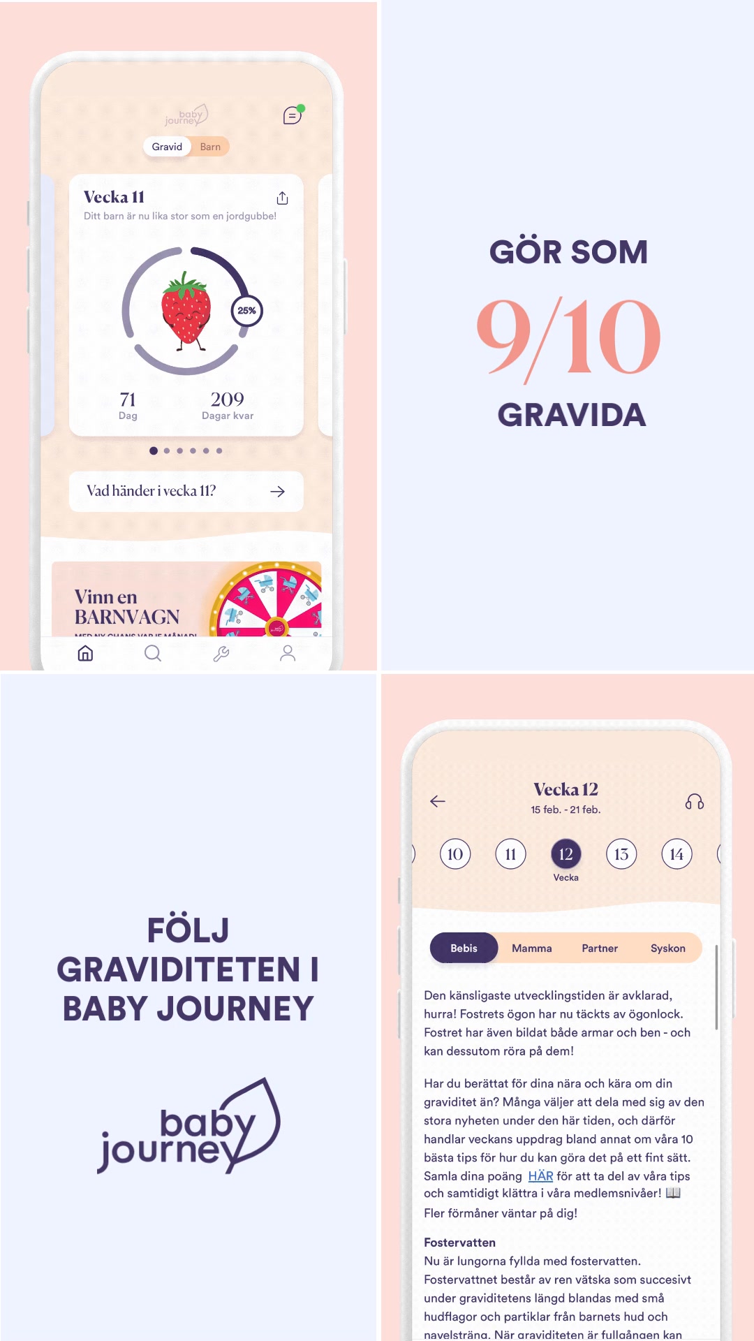 Allt om din graviditet