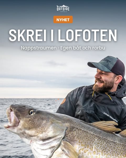 Fiskeresa för hela gänget i Lofoten