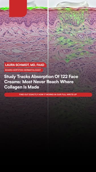 Study Tracks Absorption Of 122 Face Creams: Most Never Reach Where Collagen Is Made