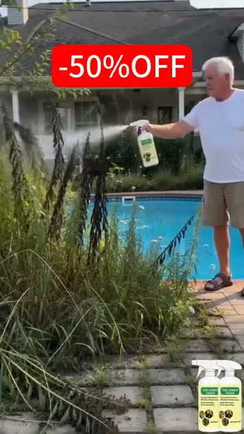 Take Back Your Yard From Unwanted Weeds!