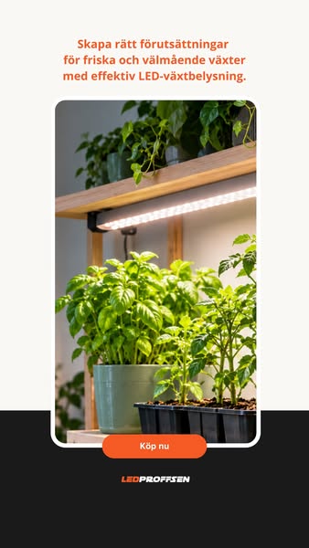 LED Växtbelysning